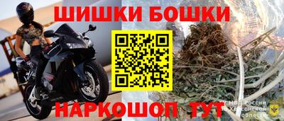 гашик Новокубанск