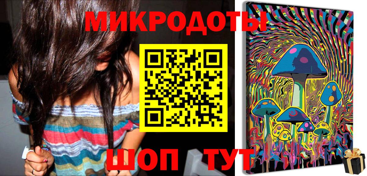 Псилоцибиновые грибы Psilocybe  Вход с VPN  Стрежевой 